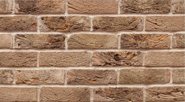 Кирпич Тандем Горки